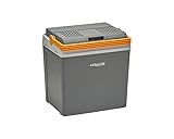 Aequator Tragbarer Kühlschrank, tragbare thermo-elektrische Kühlbox, 24 Liter, 12 V und 230 V für Auto, Thermoelektrische Kühlbox mit Kühl- und Warmhaltefunktion, für Auto, Boot und Camping, Steckdose