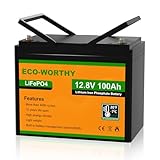 ECO-WORTHY LiFePO4 100Ah 12V Batterie mit BMS Low Temperature Schutz und 4000-15000 Zyklen, 1280Wh Lithiumbatterie für Wohnmobil,Solaranlage, Boot, Haushalt, Solarpanel Kit,Camping