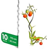 Novatool 10 Stück Tomatenstäbe 170 cm x 5 mm Ø Tomatenspiralstäbe verzinkt Rankstäbe Tomatenstangen 170cm Tomaten Rankhilfe Pflanzstäbe Tomatenstab Pflanzständer Pflanzstecker Tomatenspiralstab