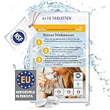 LevinQ Trinkwasseraufbereitung [60Stk] *NSFgeprüft* 100% keimfreies Trinkwasser 1 Ltr/Tablette +Handschuhe PE | Wasserentkeimungstabletten fur Krisenvorsorge Outdoor, Notfall, Camping, Reiseapotheke